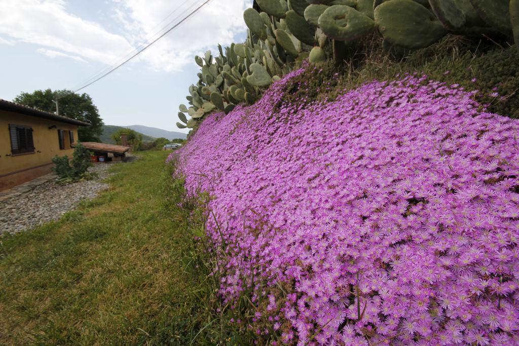 Agriturismo Cupido Montiano  Bilik gambar