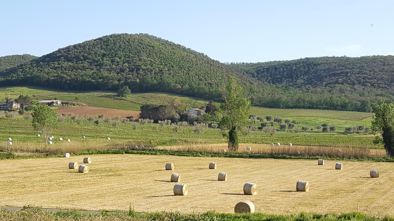 Agriturismo Cupido Montiano  Luaran gambar